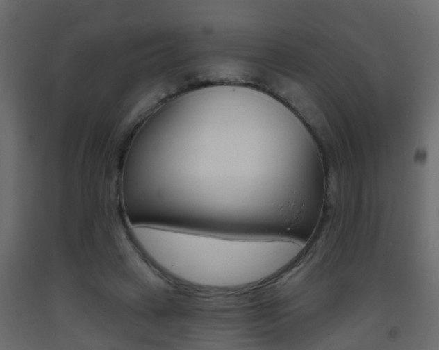 X0000093380449200710111351