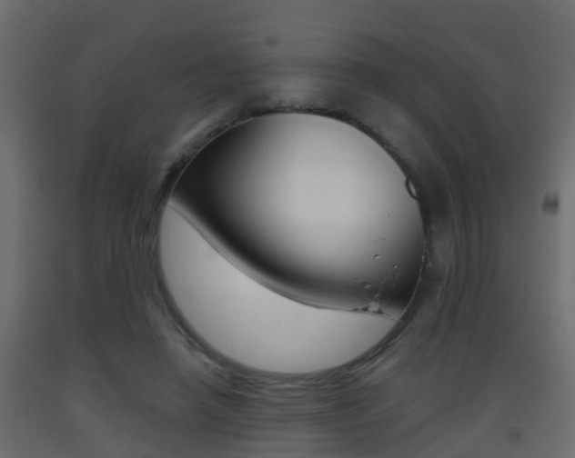 X0000093380450200710111351