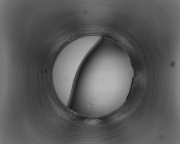 X0000093380452200710111351