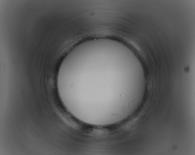X0000093380455200710111351