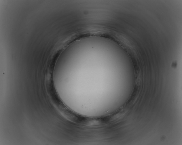X0000093380456200710111351