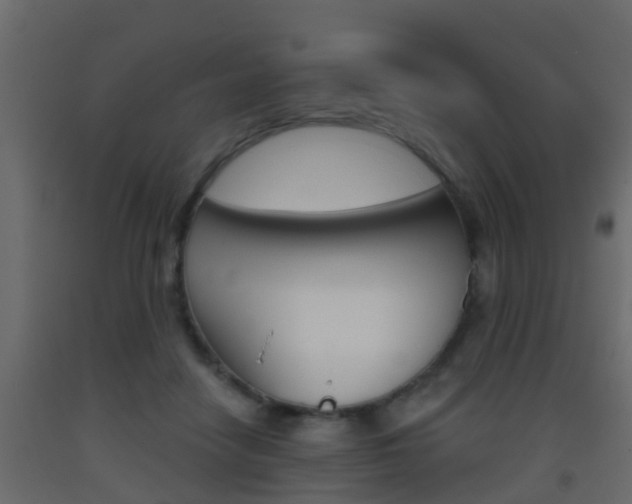 X0000093380458200710111351