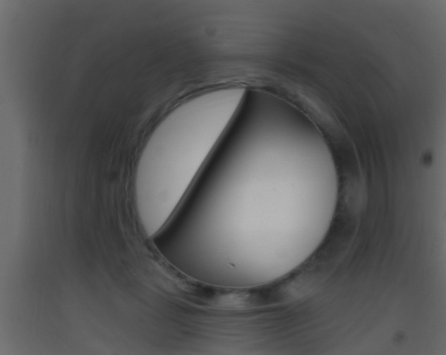 X0000093380461200710111351