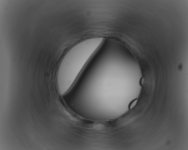 X0000093380462200710111351