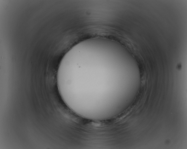 X0000093380464200710111351