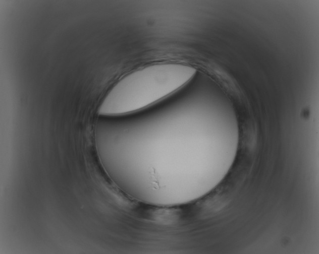 X0000093380465200710111351
