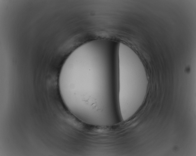 X0000093380466200710111351