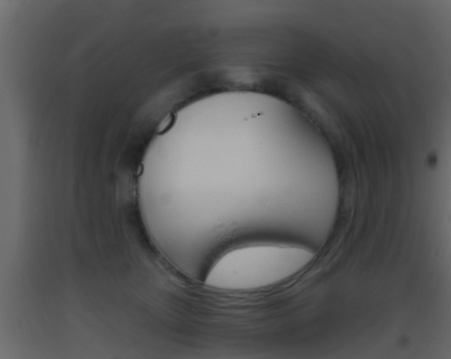 X0000093380467200710111351