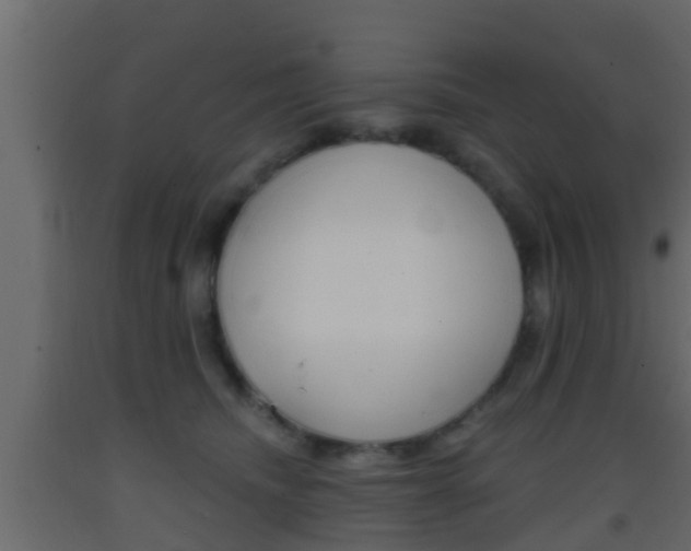 X0000093380468200710111351