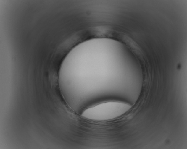 X0000093380469200710111351