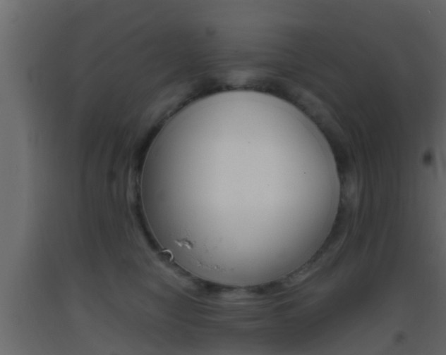 X0000093380470200710111351
