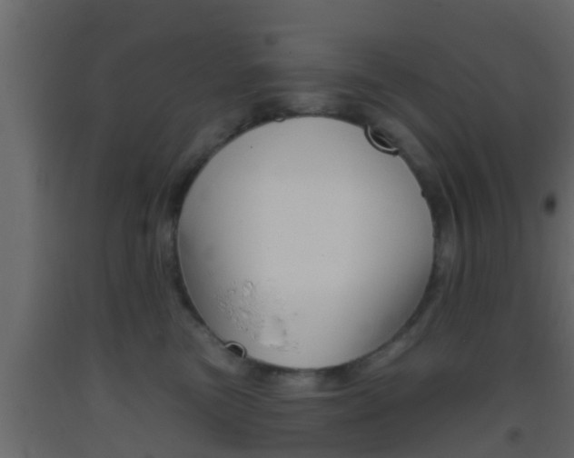 X0000093380473200710111351