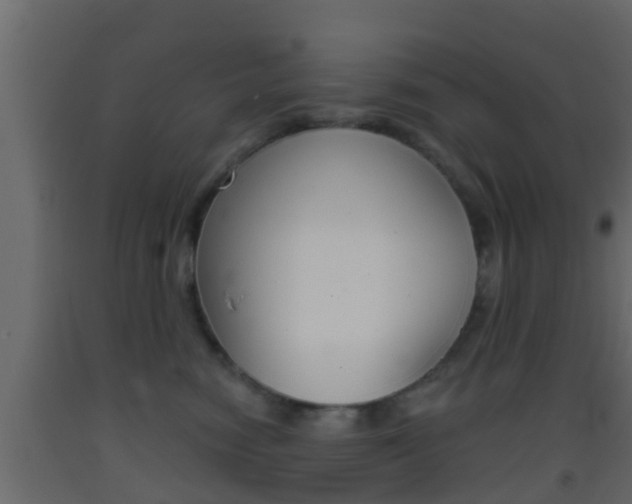 X0000093380474200710111351