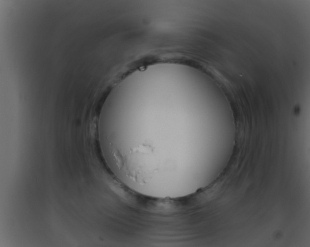 X0000093380475200710111351