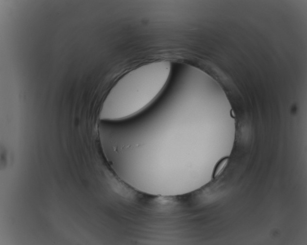 X0000093380477200710111351