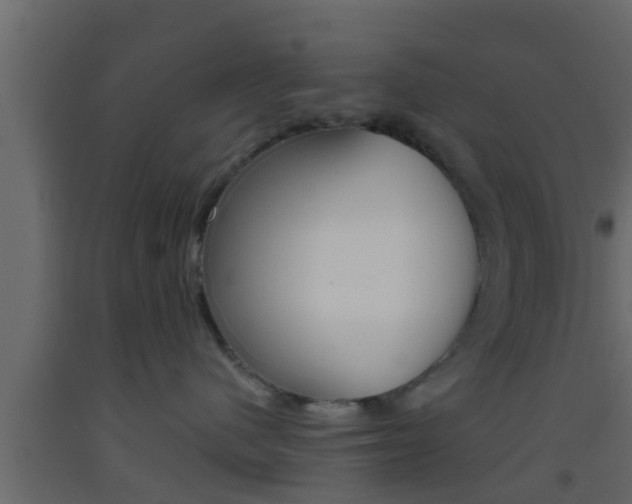 X0000093380480200710111351
