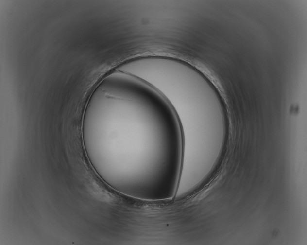 X0000093380481200710111350