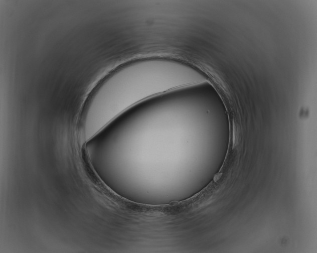 X0000093380483200710111350