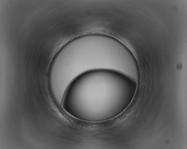 X0000093380485200710111350
