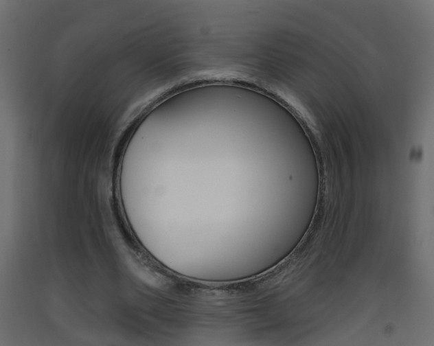 X0000093380486200710111350