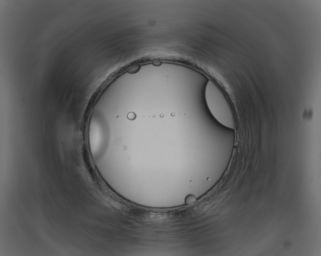 X0000093380487200710111350