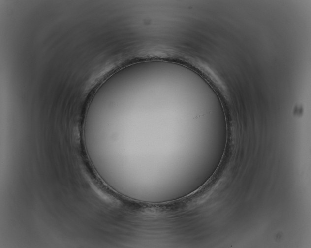 X0000093380489200710111350