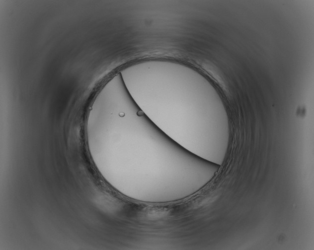 X0000093380491200710111350