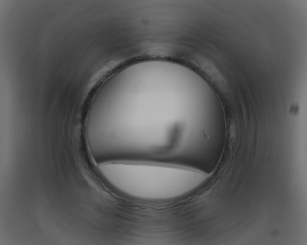 X0000093380492200710111350