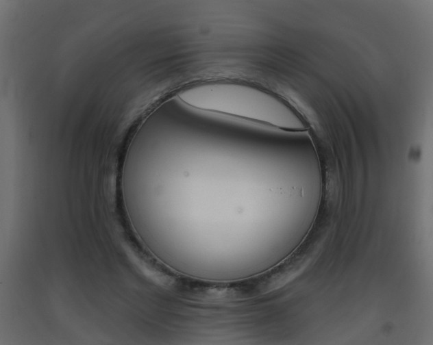 X0000093380493200710111350