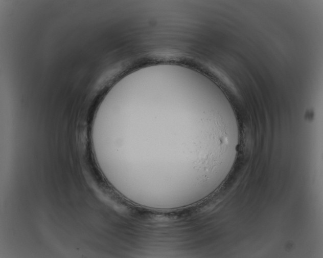 X0000093380494200710111350