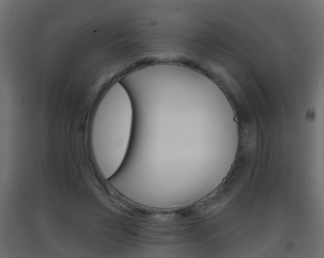 X0000093380495200710111350