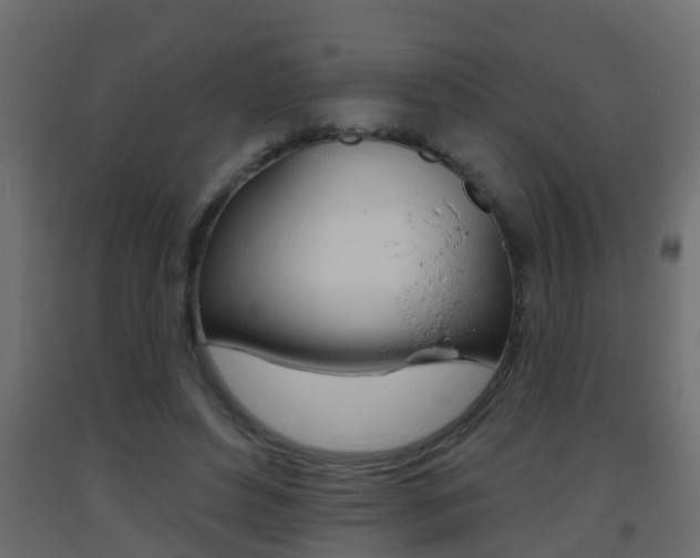 X0000093380496200710111350