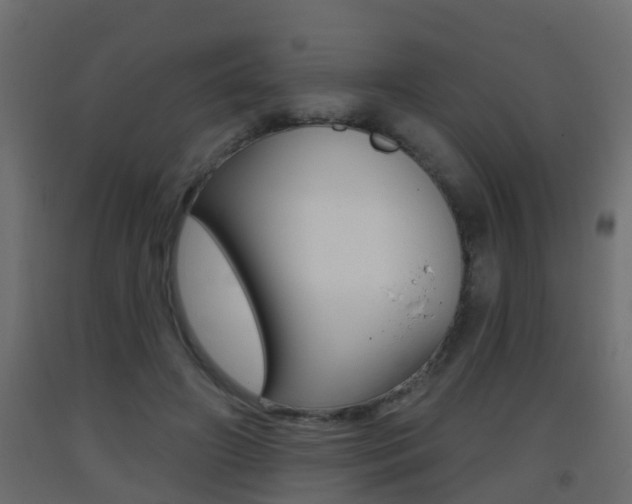 X0000093380498200710111350