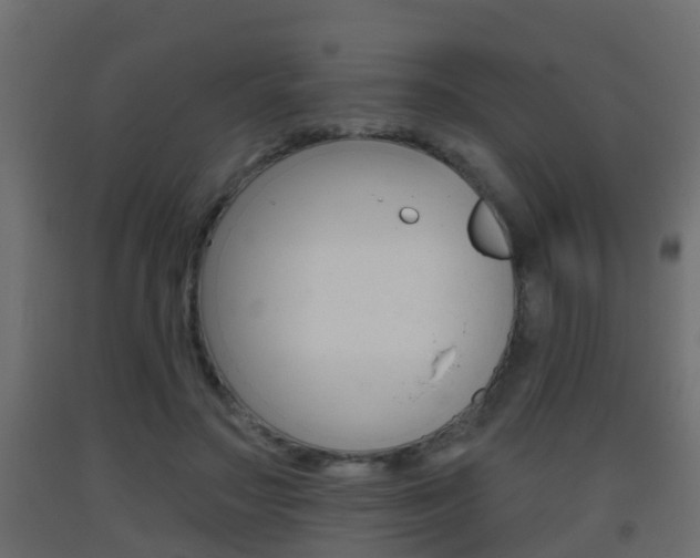 X0000093380499200710111350