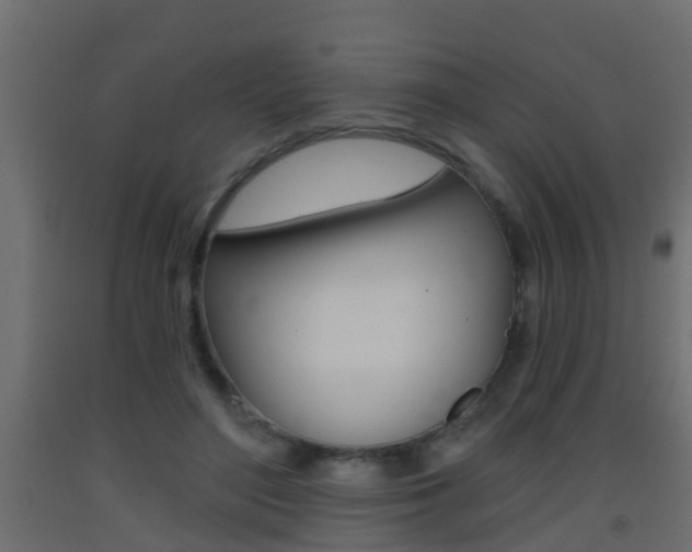 X0000093380500200710111350