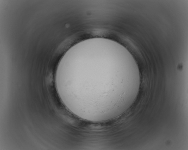 X0000093380502200710111350