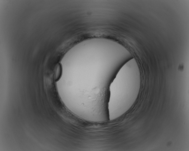 X0000093380503200710111350