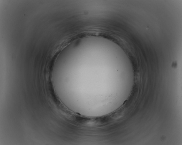 X0000093380504200710111350