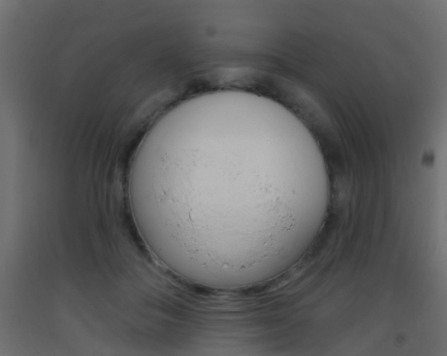 X0000093380506200710111350