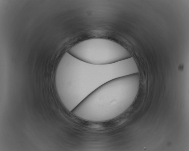 X0000093380507200710111350
