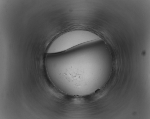 X0000093380508200710111350
