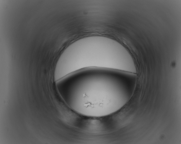 X0000093380509200710111350