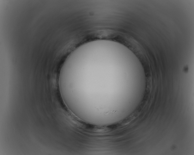 X0000093380510200710111350