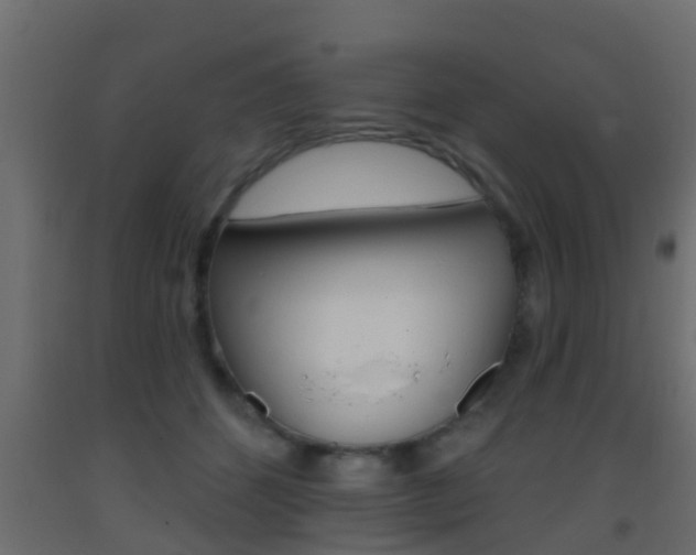 X0000093380512200710111350
