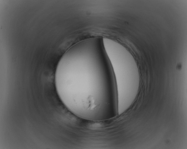 X0000093380513200710111350