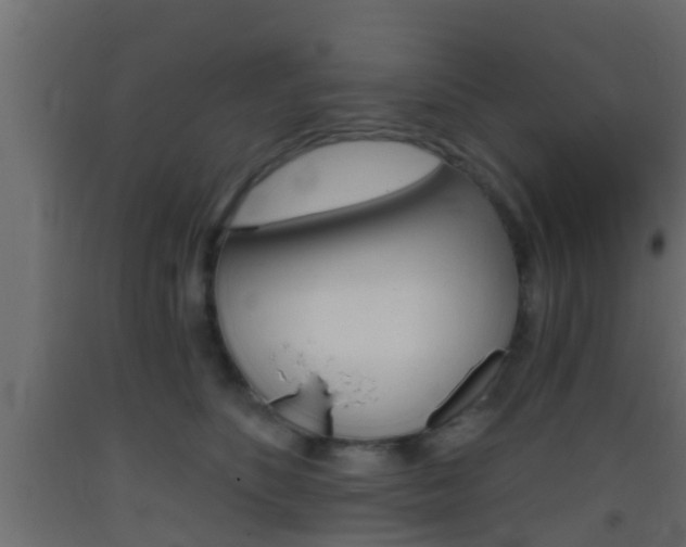 X0000093380516200710111350