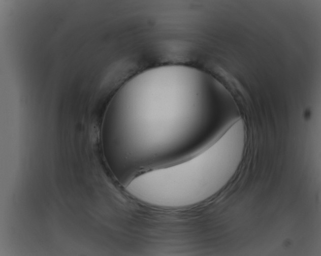 X0000093380517200710111350