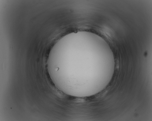 X0000093380519200710111350