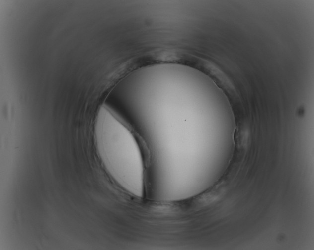 X0000093380521200710111350