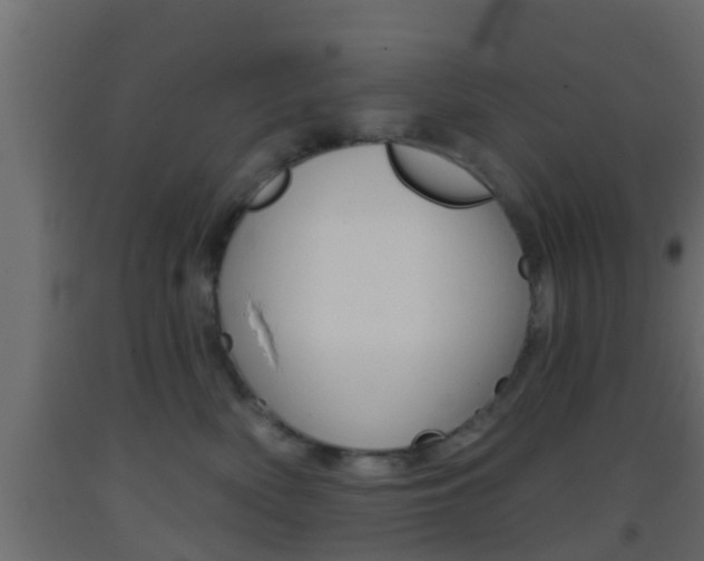X0000093380522200710111350